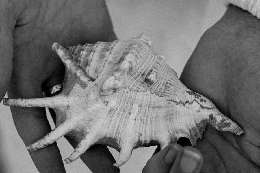 haus-of-prana-modern-wellbeing--00042